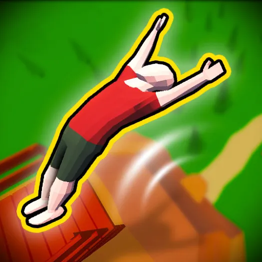 Crazy Flips 3D cover art
