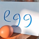 Egg cover art