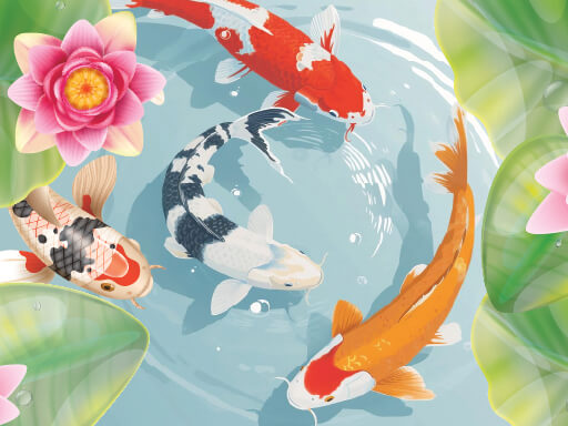 Koi Fish Pond source artwork