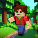 MiniCraft cover art