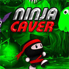 Ninja Caver cover art