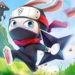 Ninja Rabbit cover art