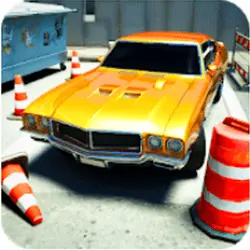 Parking cover art