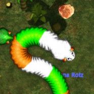 Real Snakes cover art