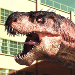Rio Rex source artwork